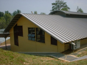 833276157_Larvae building.jpg
